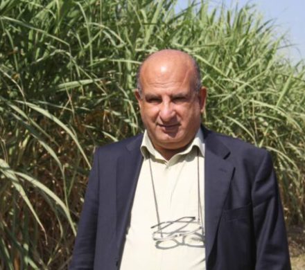 پدران نیشکری؛ سایه‌بان امن خانواده و وطن