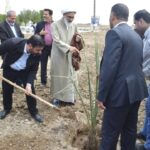  کاشت ۶۰۰ پاجوش نخل به مناسبت هفته منابع طبیعی و درختکاری در آرامستان آبادان آغاز شد