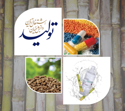 ردای دانش بر تن سبز نیشکر