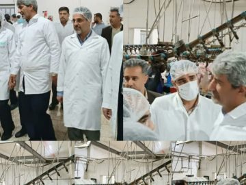 بازدید شبانه از کشتارگاه های اهواز