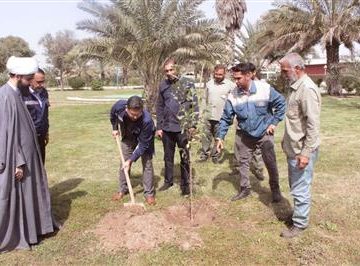 كاشتِ درختان مثمر