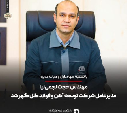 مهندس حجت نجمی‌نیا مدیرعامل شرکت توسعه آهن و فولاد گل گهر شد