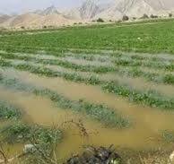 تجمع اعتراضی کشاورزان الحایی/ اراضی زراعی زیر آب رفتند