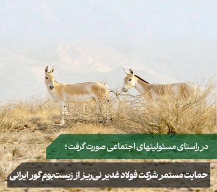 حمایت مستمر شرکت فولاد غدیر نی ریز از زیست بوم گور ایرانی با ارسال ششمین محموله علوفه