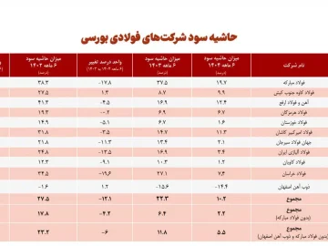 انجمن فولاد آلیاژی گزارش داد: حاشیه سود خالص ۱۰ شرکت فولادی بورسی از حدود ۱۸ درصد در نیمه نخست سال ۱۴۰۲ به ۲ درصد در نیمه نخست امسال رسید!