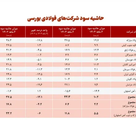 انجمن فولاد آلیاژی گزارش داد: حاشیه سود خالص ۱۰ شرکت فولادی بورسی از حدود ۱۸ درصد در نیمه نخست سال ۱۴۰۲ به ۲ درصد در نیمه نخست امسال رسید!
