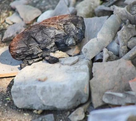 تمرکز بر بازار داخل، ریسکهای صادراتی کگهر را مهار کرد؛ گندله، ستون درآمدی “کگهر” را مستحکمتر کرد