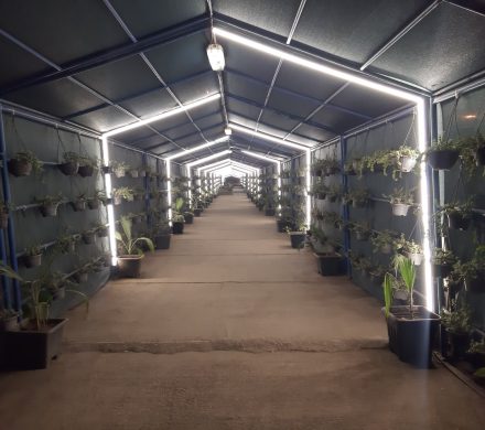 مسیر عبور کارکنان فولاد هرمزگان با طراحی سبز بازآفرینی شد