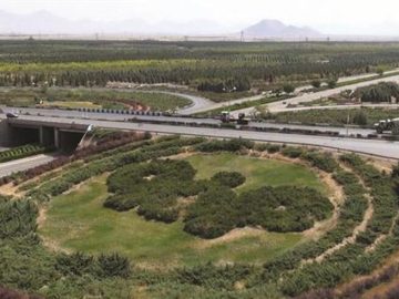 عبور از صادرات یک میلیارد دلاری فولاد مبارکه؛ پشتوانه اقتصاد ایران در سال پرچالش