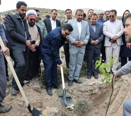 گام سوم پویش ملی «ریشه در وطن داریم»؛ این بار در مجتمع مس درآلو