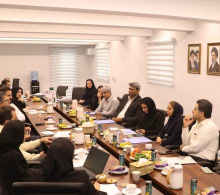 پیوند ظرفیتهای علمی فولاد هرمزگان با دانشگاههای استان هرمزگان