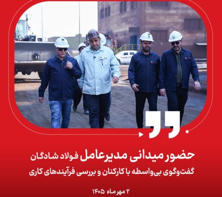 گفتوگوی بیواسطه با کارکنان و بررسی فرآیندهای کاری